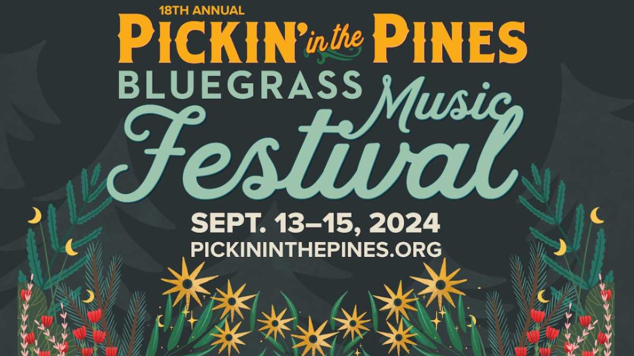 Pickin' In The Pines